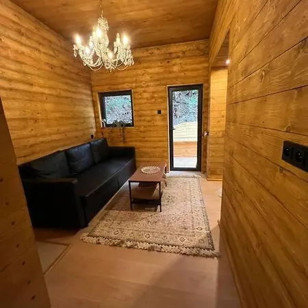 Hébergement de vacances Apartman Panelka Se Soukromou Saunou