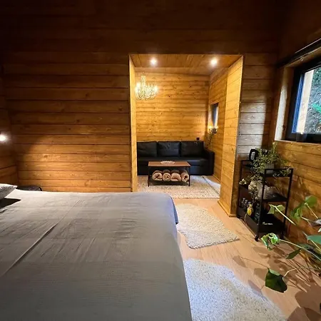 Hébergement de vacances Apartman Panelka Se Soukromou Saunou
